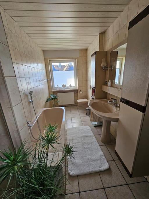 Ferienhaus Distelfink Entspannen In Der Mitte Von Deutschland Gudensberg Buitenkant foto